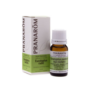 Ευκάλυπτος Ακτινωτός αιθέριο έλαιο φωτό