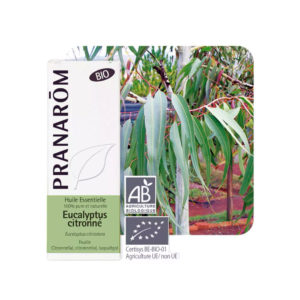 Ευκάλυπτος Κιτρώδης αιθέριο έλαιο φωτό