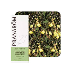 Ευκάλυπτος Πλούσιος αιθέριο έλαιο φωτό