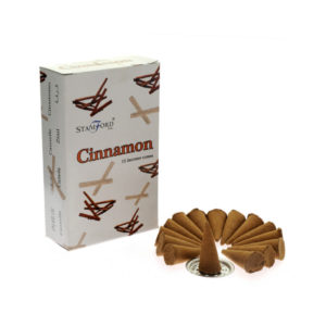 Κώνοι Κανέλλα φωτό