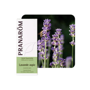 Λεβάντα Σταχυώδης αιθέριο έλαιο φωτό