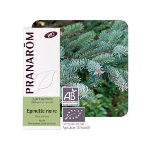 Μαύρη Ερυθρελάτη αιθέριο έλαιο φωτό