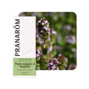 Θυμάρι Θουγιανόλη αιθέριο έλαιο φωτό